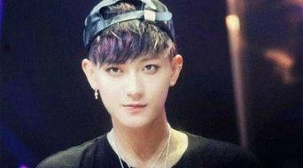 娱乐吃瓜社黄子韬,娱乐圈的“吃瓜”焦点，揭秘他的星途历程